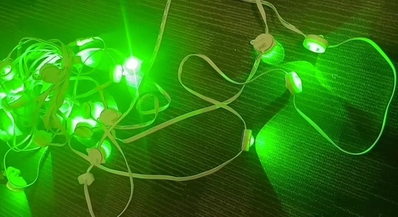Flashing Lights LED String Hanging Light Working Temperature -30-50C Length 100M IP 65
