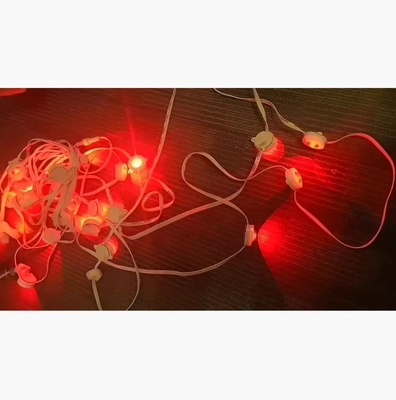 Flashing Lights LED String Hanging Light Working Temperature -30-50C Length 100M IP 65
