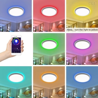 Lighting Solutions Service 30w Slim Tuya WiFi Smart LED Ceiling Light No DIY Required
