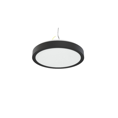 IP44 10inch 15W C1015 LED Single Ring Intergrated Ceiling Light for and Customization