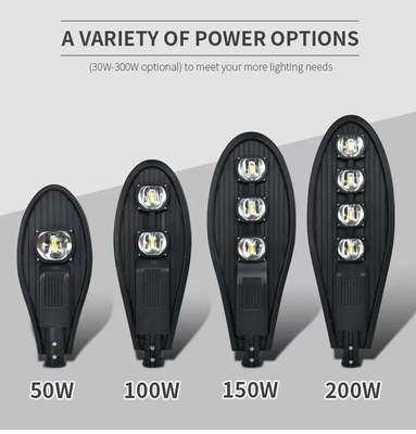 25W Outdoor Lighting Aluminum PC Waterproof Ip65 Emergency Lighting 1 Hour Sensor Streetlight