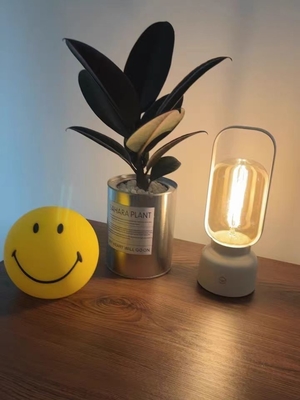 Artistic Gifts Atmosphere Table Lamp Modern Design Night Light and Mosquito Repellent