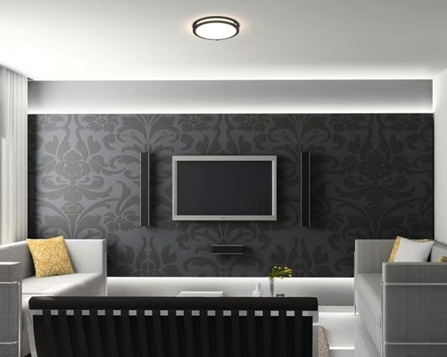 21W 5CCT Switch Control 14inch LED CCT Selectable Double Ring Ceiling Light CL-B14255C