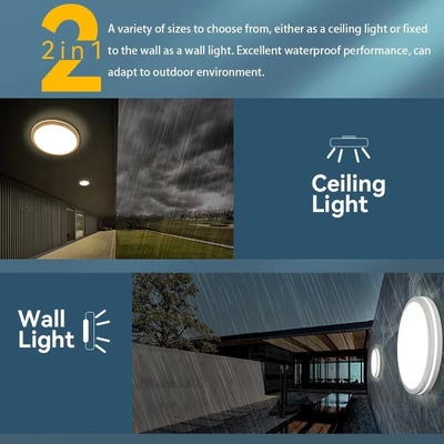 5CCT 2000K Night Light Modern Dome Light LED Ceiling Lamp 10in/13in/15in for Home Lighting