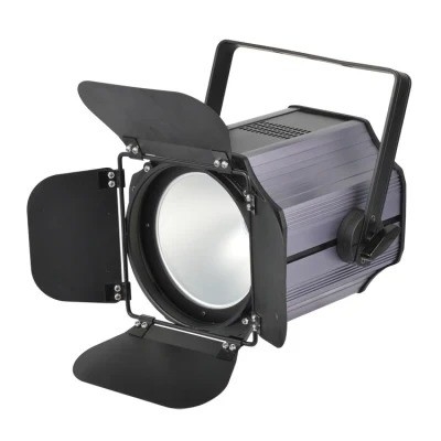 100-240V Input Voltage Professional 200W COB LED PAR Can Light for Stage and DJ Shows