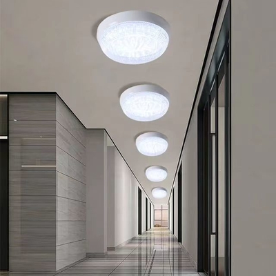Hotel Bathroom Kitchen Corridor LED Ceiling Lamp 20W 30W with Light and DIY Function
