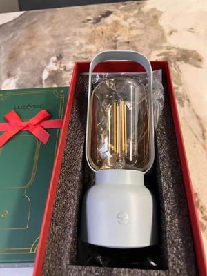 Modern Night Light Festival Artistic Gifts Table Lamp with Mosquito Repellent Light
