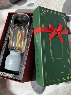 Modern Night Light Festival Artistic Gifts Table Lamp with Mosquito Repellent Light
