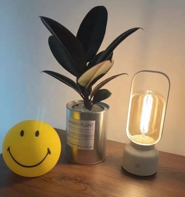 2700K Color Temperature Atmosphere Night Light for Hand Lamp and Mosquito Repellent