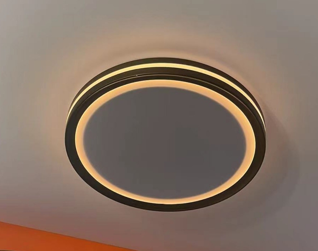 5CCT 2000K Night Light Modern Dome Light LED Ceiling Lamp 10in/13in/15in for Home Lighting