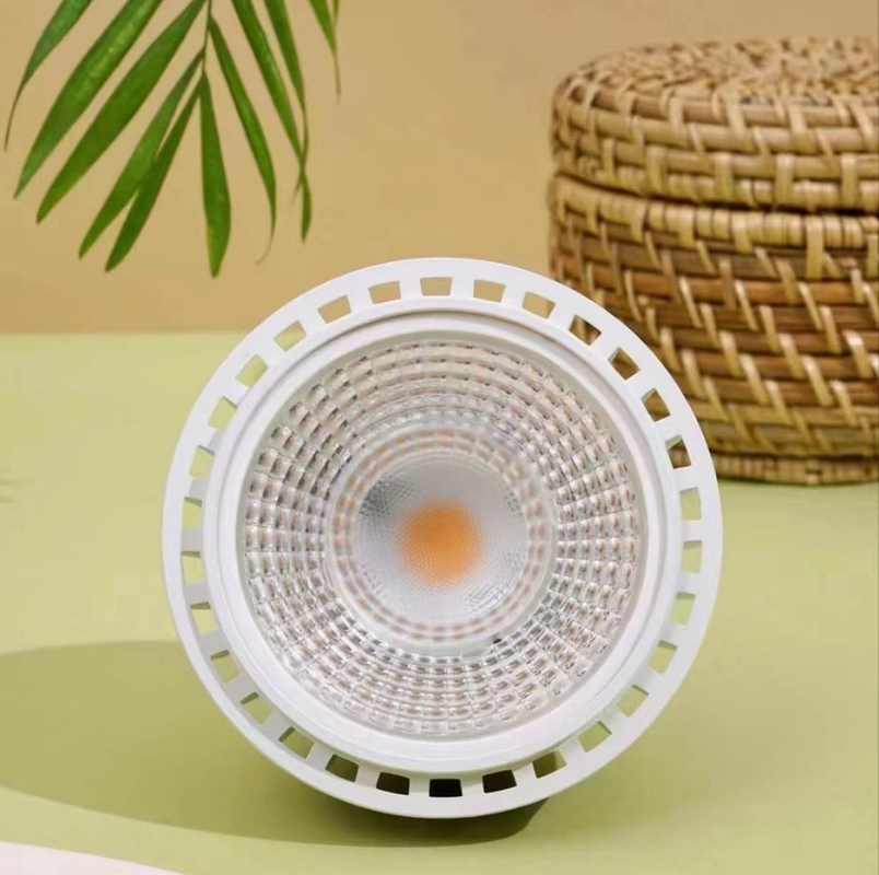 LED Plant Grow Lighting 20W LEDPAR30 with 85V-265V Input Voltage and Other Base Type
