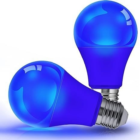 Blue LED Bulb A19 9W E26 Non-Dim for Outdoor Christmas Lighting and Circuitry Design